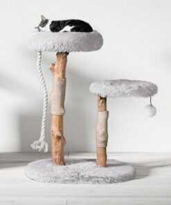 Cat Trees