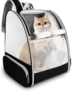 Pet Backpacks