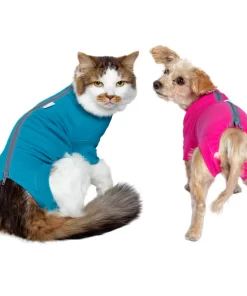 Pet Apparel